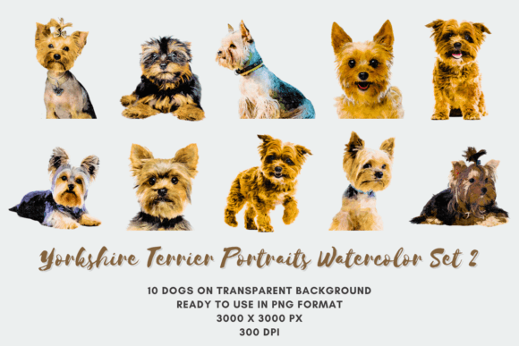 10 Yorkshire Terrier Portrait Watercolor