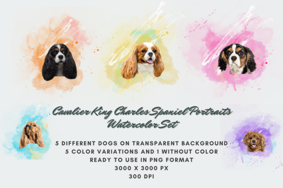 30 Cavalier King Charles Spaniel Set: A Versatile Digital Asset for Creative Projects