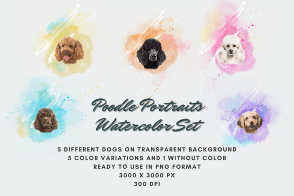 30 Poodle Portraits Watercolor Set Dog