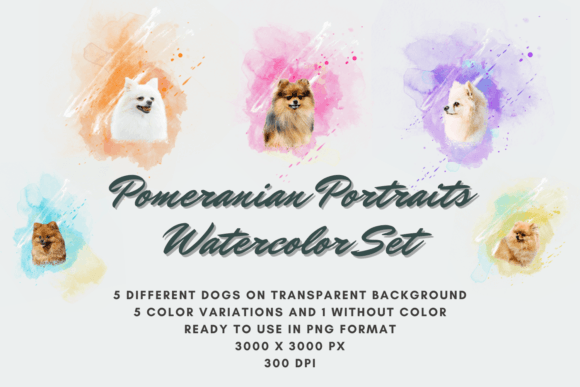 5 Pomeranian Portraits Watercolor Set: A Versatile Asset for Creative and Professional Projects