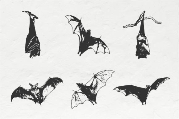 Halloween Bat Vintage Vector: A Timeless Design Tool for Creative Projects