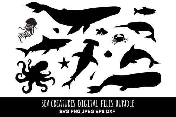 Sea Animals Png Jpeg Eps Set for Creative Projects